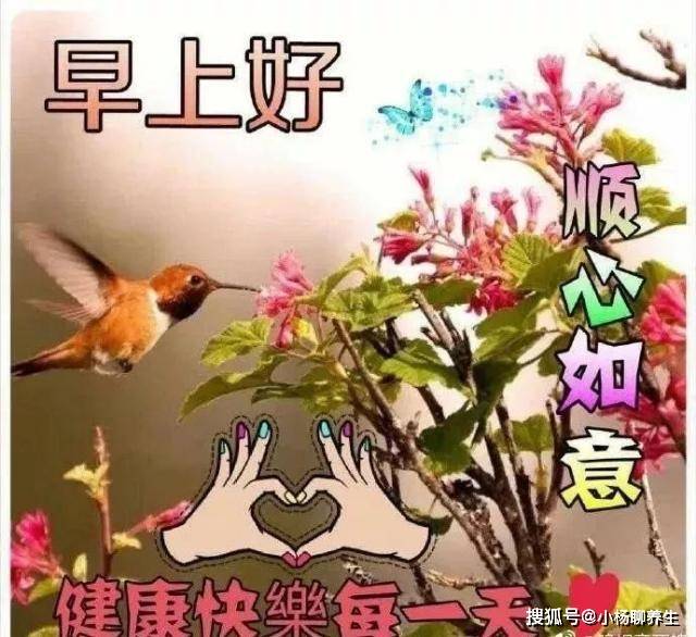 原创周六早安祝福图片合集,带问候美句,祝你周末快乐