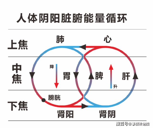 璇玑调炁针方攀祺全科班粉丝会员专享技术_升降