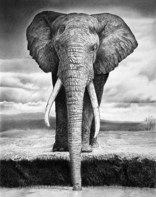 关于动物的超写实绘画作品,震撼!_大象