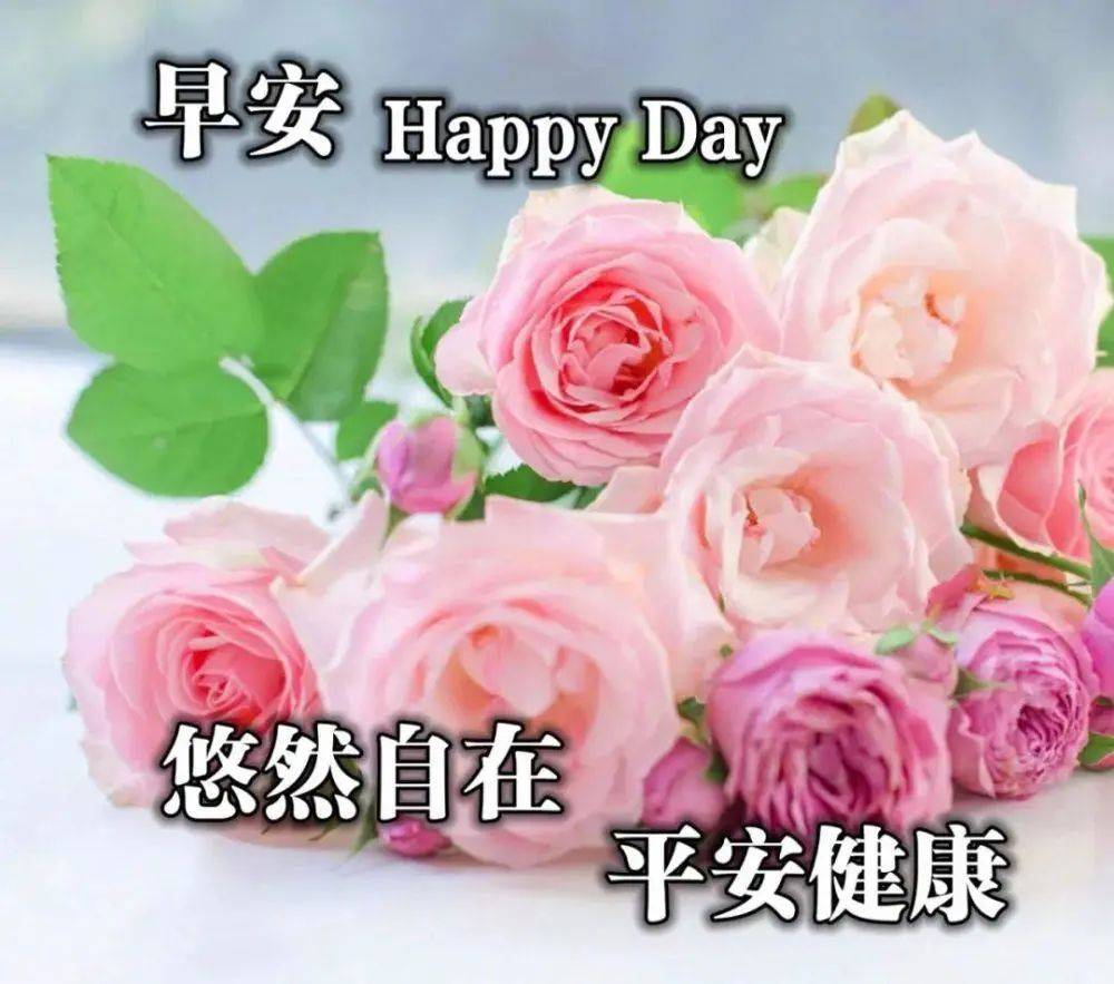 早安2021最新问候语,早安问候语2021最新 2021年最新非常阳光早安问候语 创意又美好的早上好图片大全带字合集