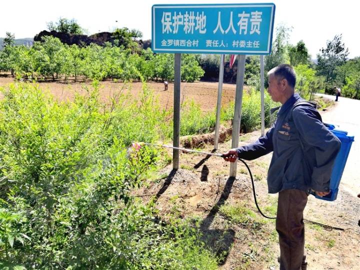 中阳县境内保护耕地的宣传牌随处可见