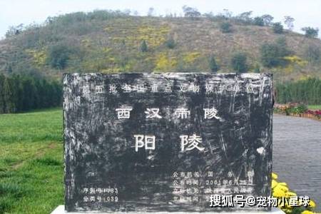 唐伯虎:不见五陵豪杰墓,无花无酒锄作田,究竟是指哪五