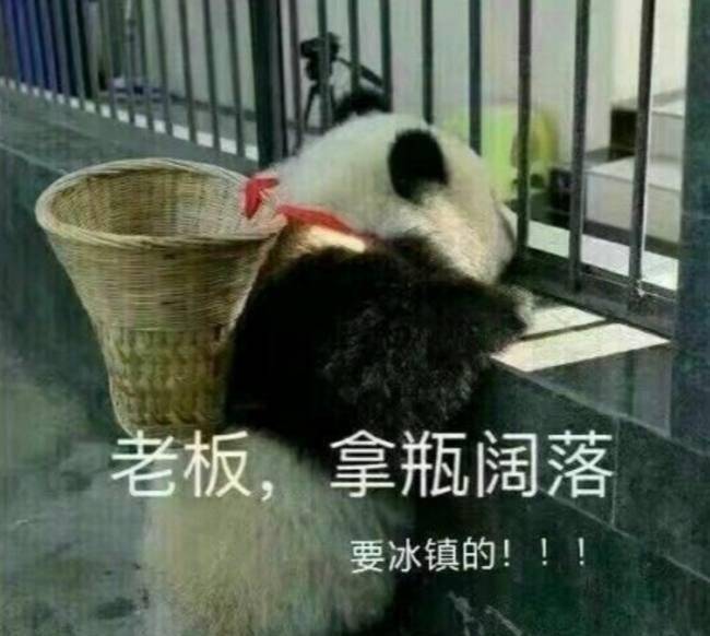 一些熊猫宝宝的看图说话小段子,笑翻了!