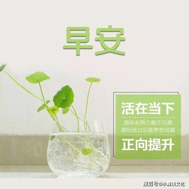 早安语录励志句子 早安经典短句