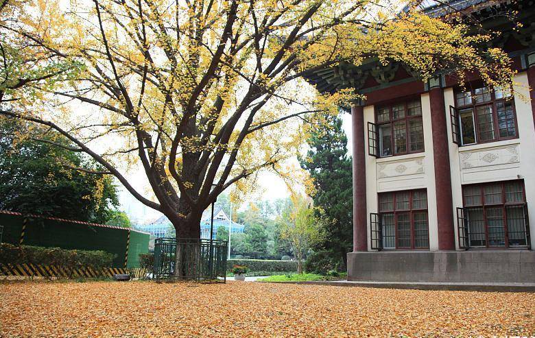 南京师范大学中北学院事件引争议:独立学院转职业大学