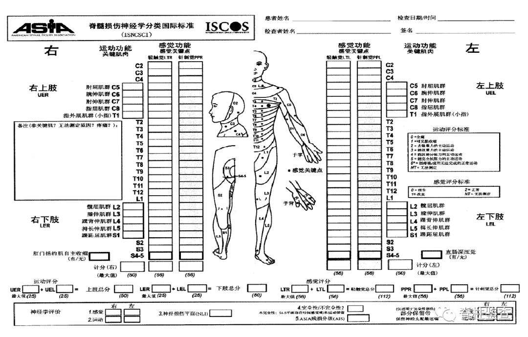 图:脊髓损伤asia分级