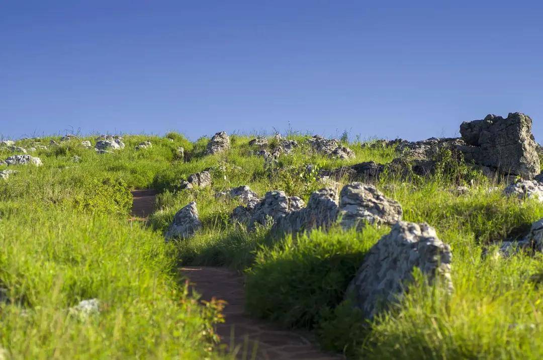 糟心!曲靖朗目山成网红地垃圾遍地,昆明长虫山也会沦陷吗?