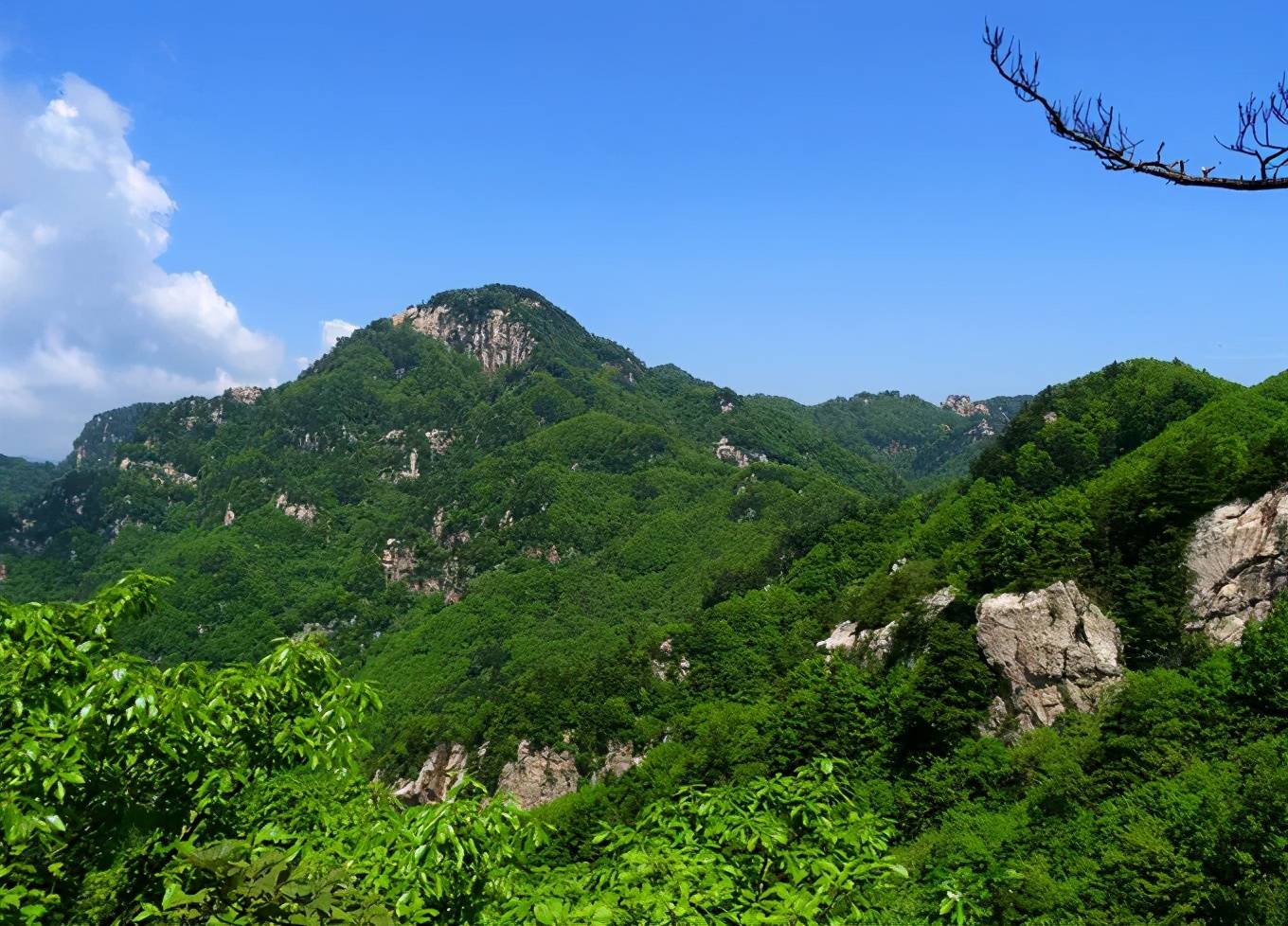 你的夏季最优解西峡老界岭告诉你夏天的四种登场方式