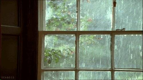 半分清浅已入夏,一窗风雨,一相思