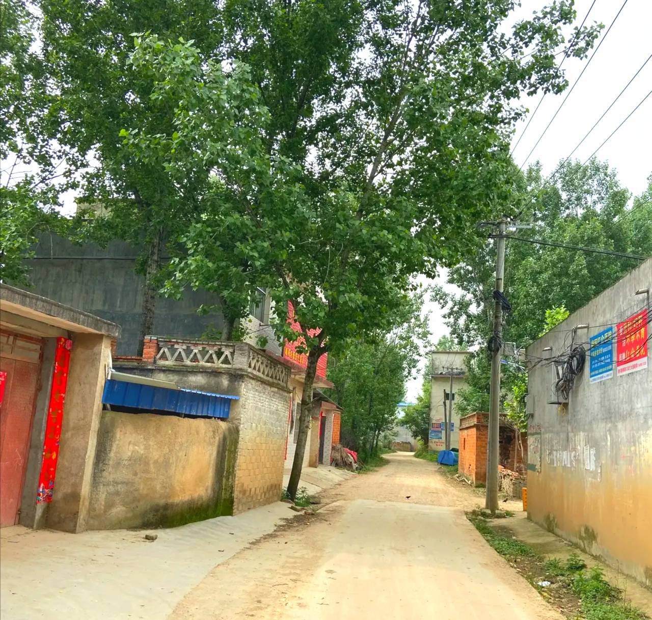 我的家乡河南农村:外地再美的风景都不如回家的这条村