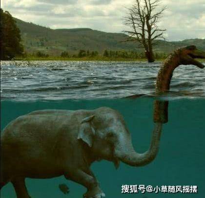 原创频频拍摄到尼斯湖水怪,水怪真的存在吗?是已灭绝的蛇颈龙吗?