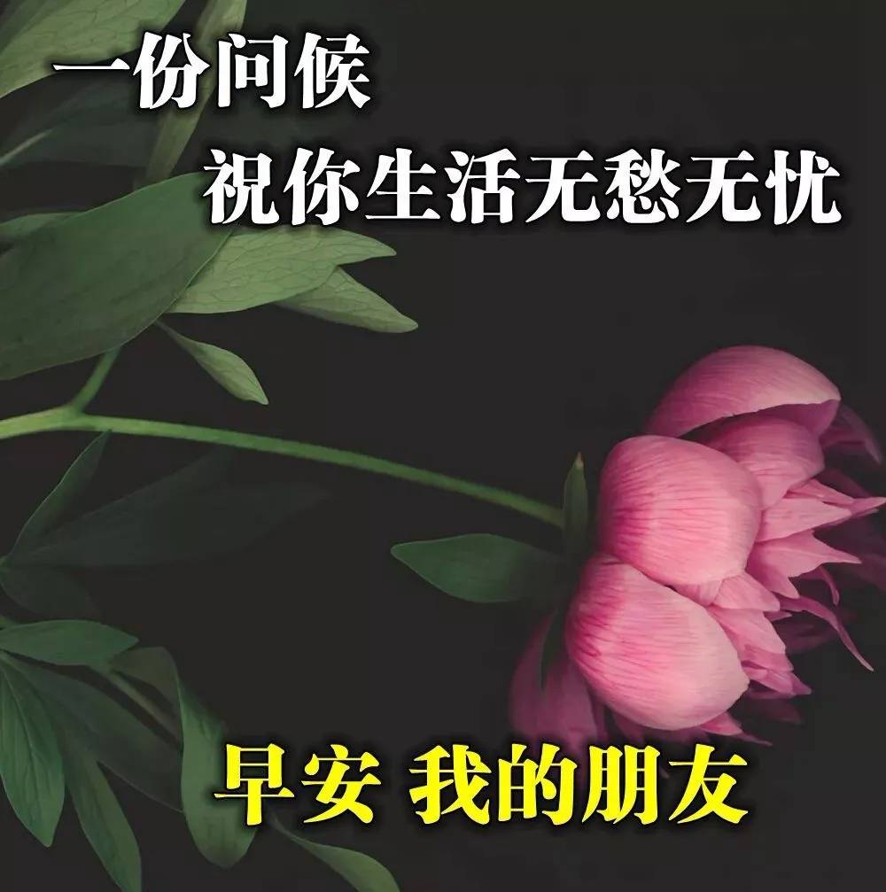 适合发朋友圈的漂亮早安壁纸图片,早上好阳光祝福短信