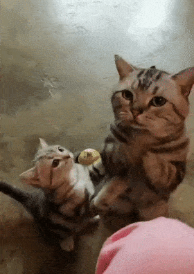 280_396 竖版 竖屏