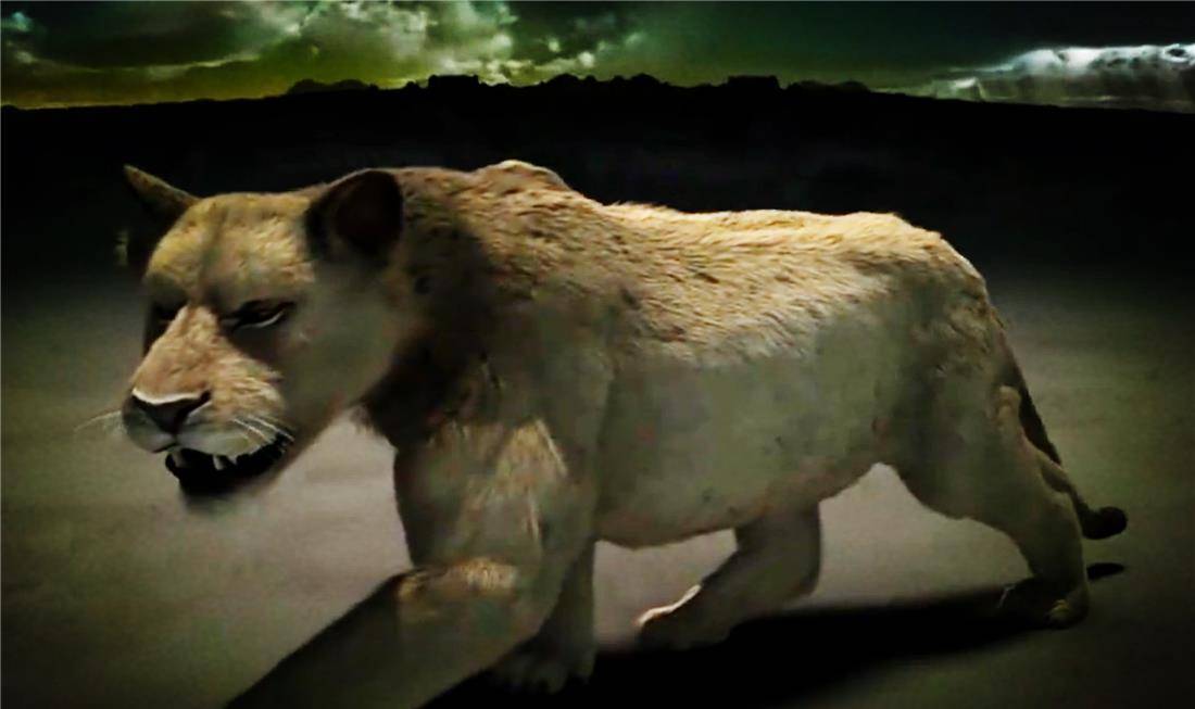 原创残暴狮的祖先是原始狮?重半吨敢猎杀1吨重的野牛,还不惧短面熊
