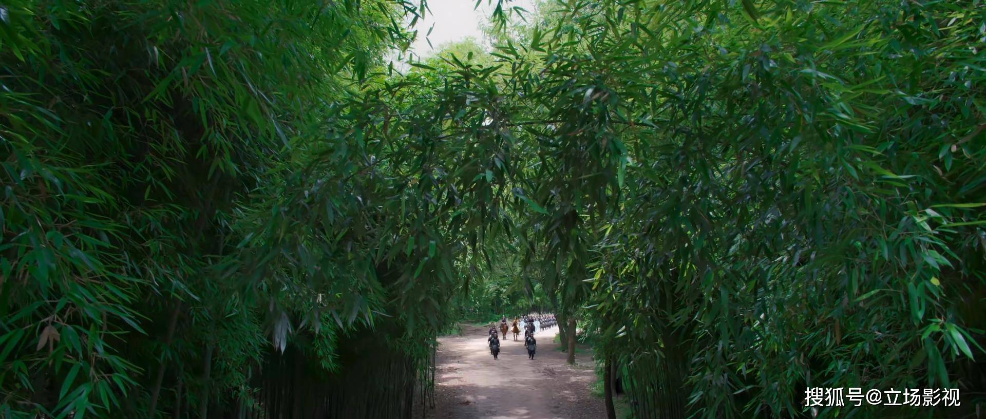 该片的特效,比上其他网大有那么一丝丝进步,最后的"龙蛇大战"也有那么