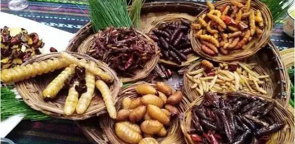 盘点云南少数民族十大奇葩美食看看你能hold得住几个