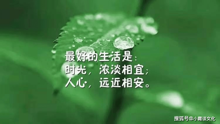 2021发朋友圈的优美句子,句句沁人心脾,读着就是一种享受