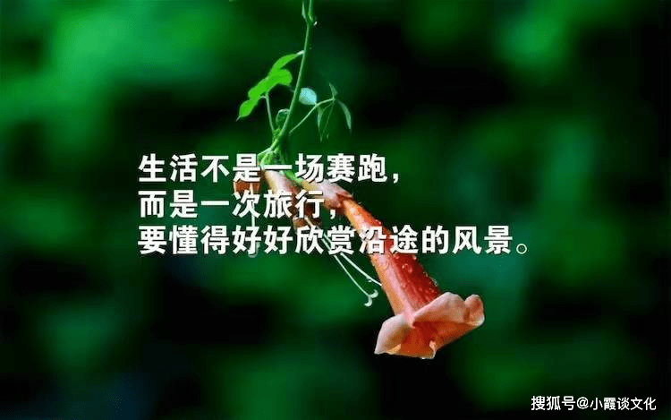 2021发朋友圈的优美句子,句句沁人心脾,读着就是一种享受