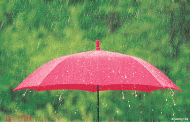 南阳启动暴雨iv级应急响应!超长