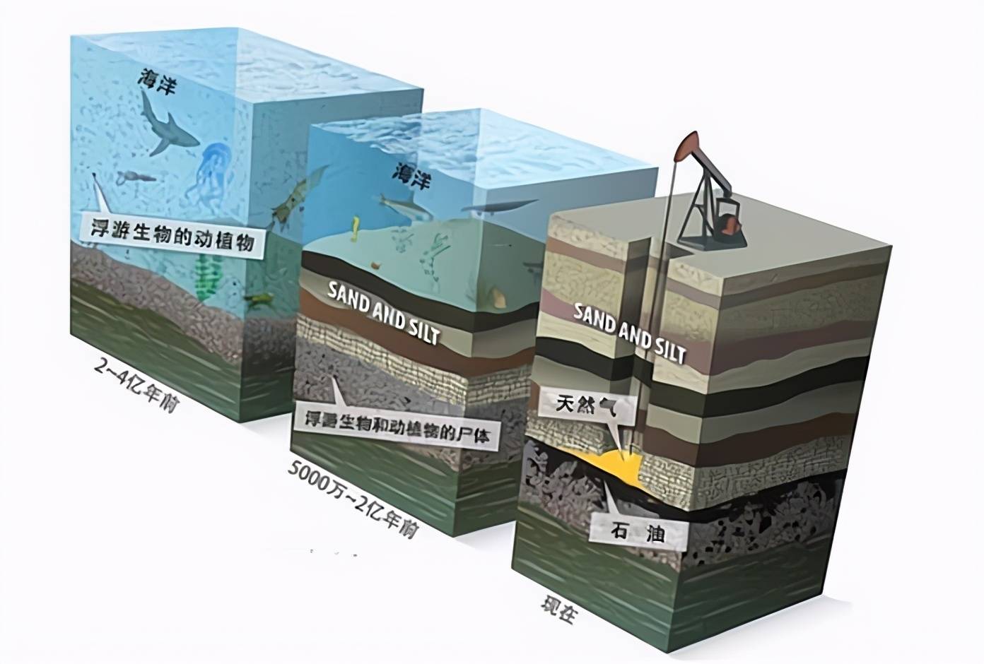 关于石油的形成,目前主要有"生物成油论"和"非生物成油论"这两种理论