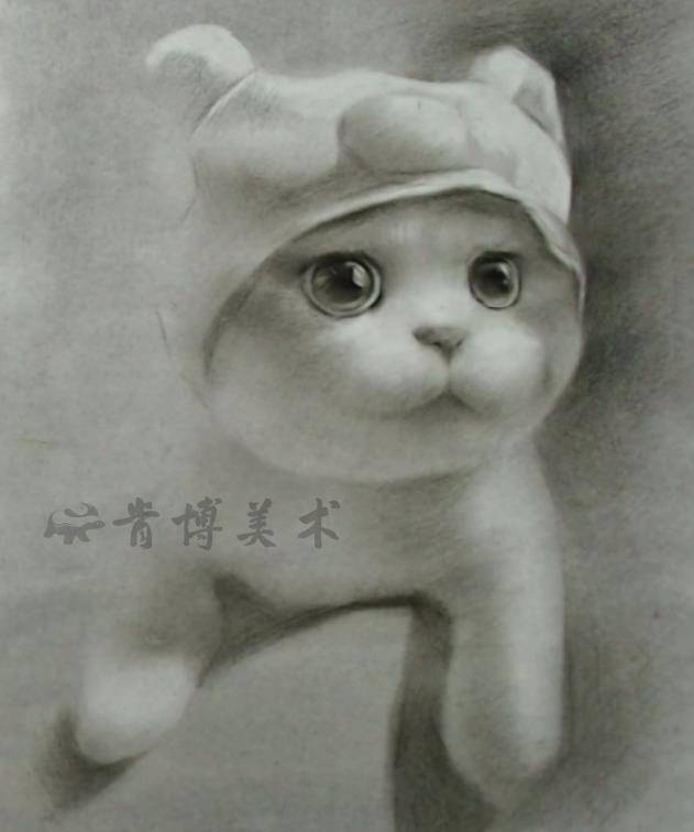 动物素描:软萌猫咪体积感如何画?记住这四步,可爱小猫活灵活现