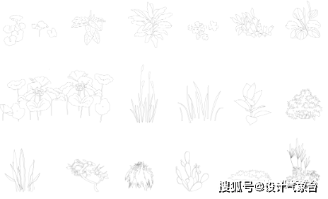线稿风灌木和草丛素材ai格式
