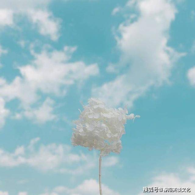2021最火最励志的短句,振奋人心,早起必看!