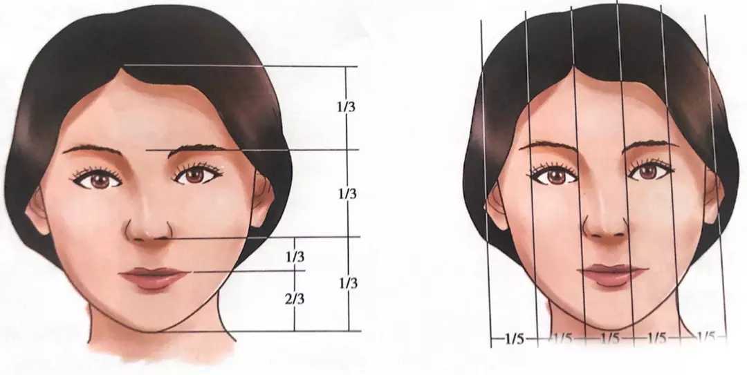 即发际点至眉间点,眉间点至鼻下点,鼻下点至颏下点三部分长度基本相等
