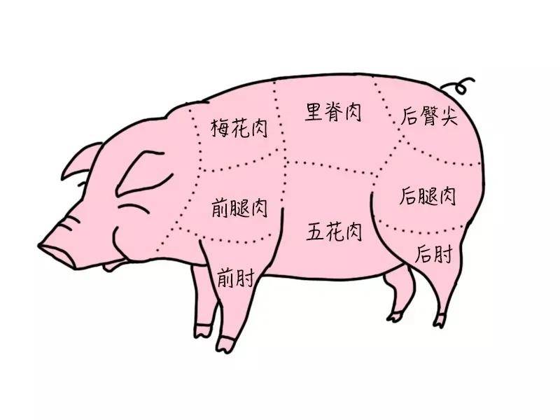 吃猪记中国人到底有多爱吃猪各部位都有不同吃法