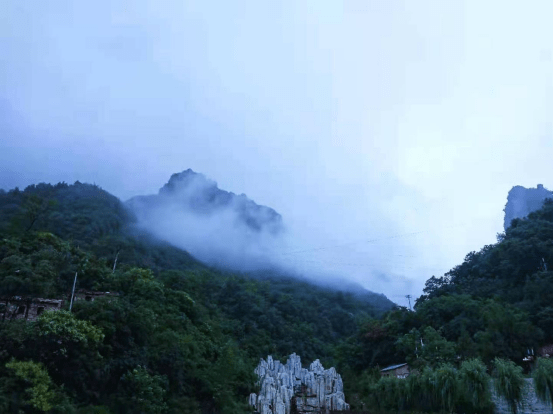 雨后的紫金山景区空气中负氧离子含量丰富, 不仅养眼,还能带来清新的