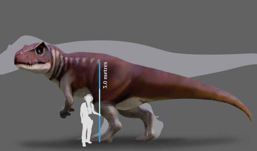 原创澳洲发现大型食肉恐龙 足迹达80厘米