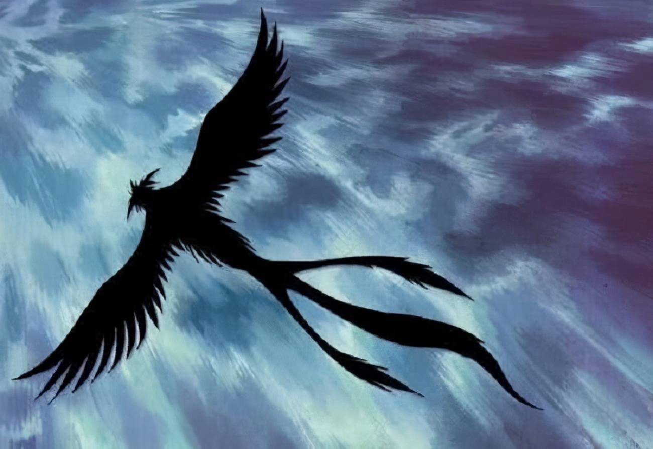 原创黑龙江村民拍到巨型黑凤凰?是无中生有,还是上古神兽真的存在?