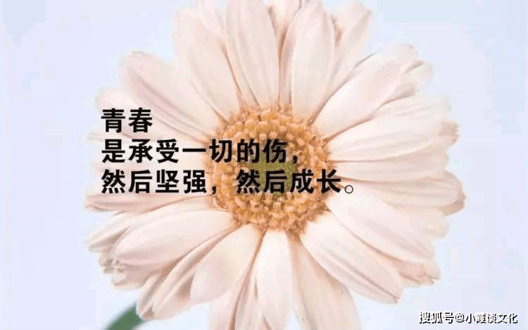 成熟低调有内涵的女生个性签名,越看越喜欢