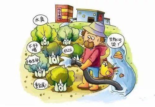 重金属污染丨无形中对我们造成的危害,你知道吗?