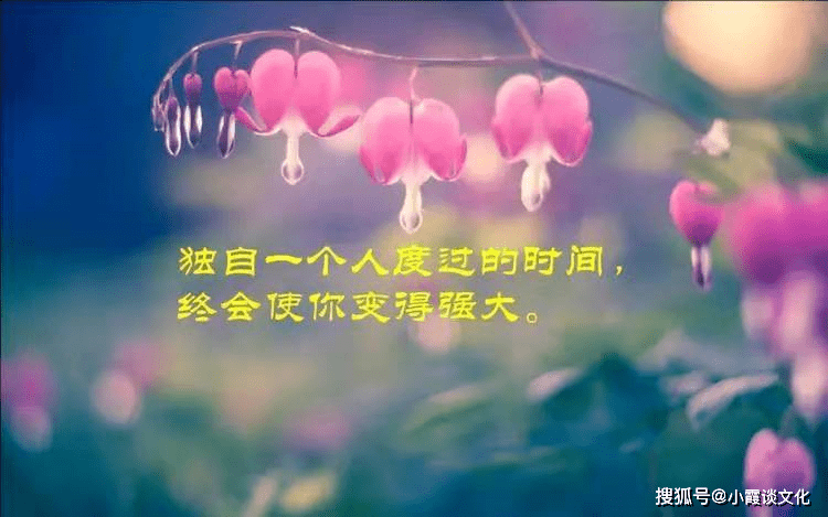 朋友圈最经典的人生格言,道理深刻,刻骨铭心