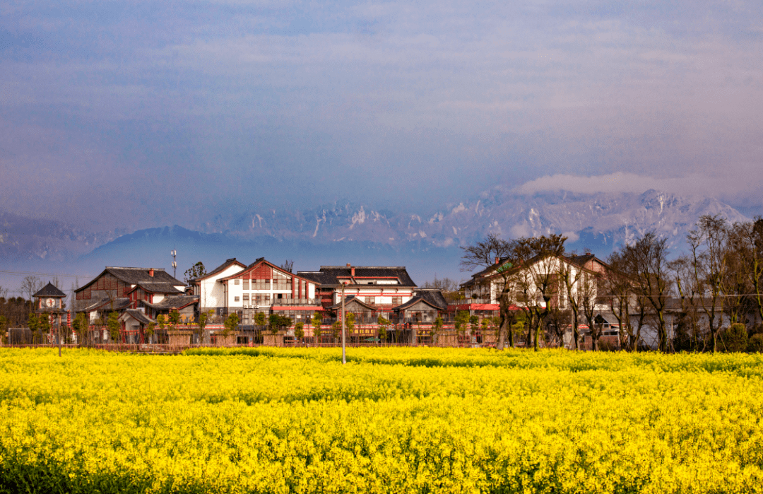 郫都:战旗村绘就一幅乡村振兴的多彩画卷