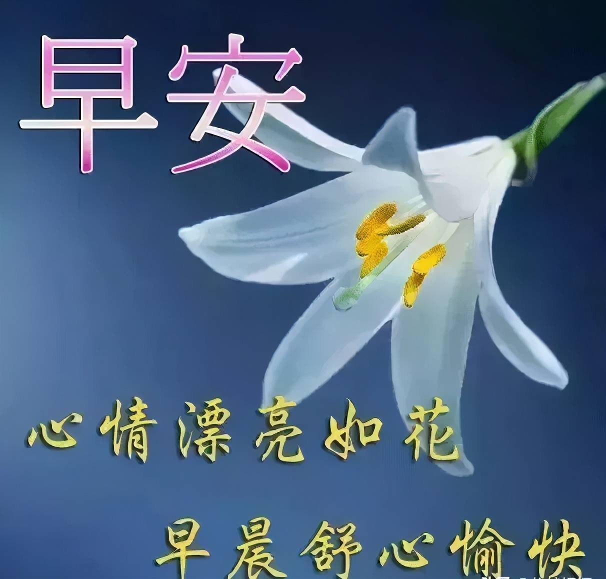 原创好看的早上好表情图片唯美带字,最新的清晨早安祝福语寄语句子