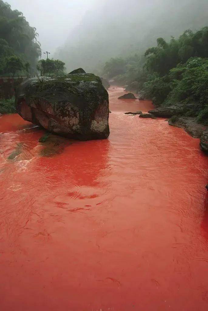 云南最诡异的河流下雨就变血河毒蛇遍地当地人说里面住着神灵