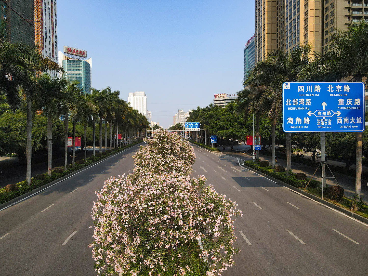 盘点北海市最美的十条城市道路让你彻底爱上北海