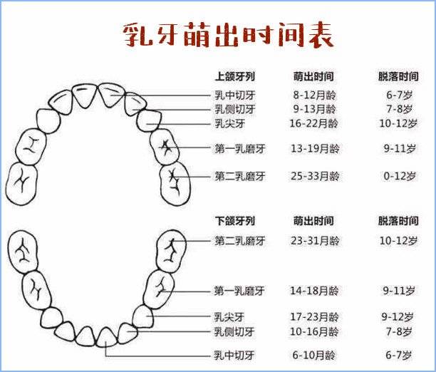 宝宝几个月长牙算正常？乳牙萌出时间、信号、护理注意,家长收藏