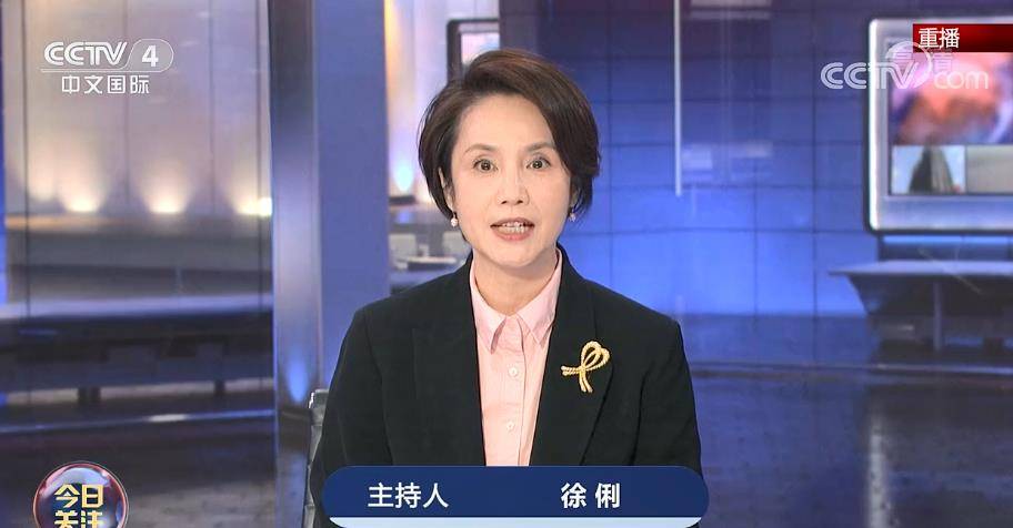 徐俐60大寿已过仍然工作在央视四套今日关注节目主持一线