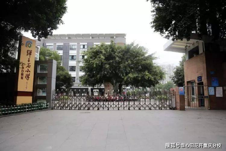 集团成员为 弹子石小学本部校区,弹子石小学cbd校区,弹子石小学中海