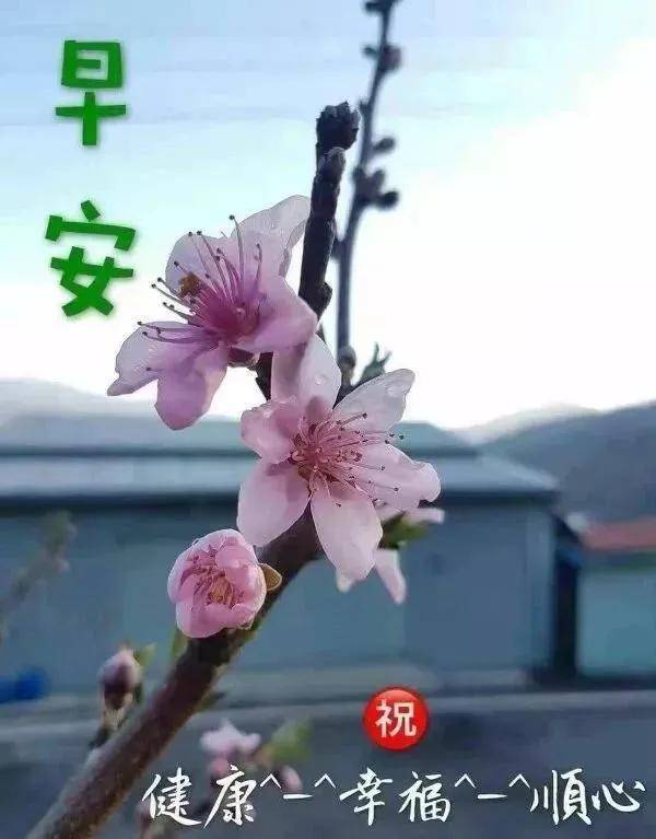 早上好2021风景图片,早上好2021图片带文字 2021最新最漂亮早上好表情动态图片带字和鲜花,早上好