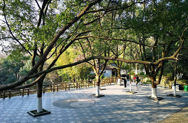 慈溪口碑好又值得一去的旅行景点推荐,去哪个都不怕被