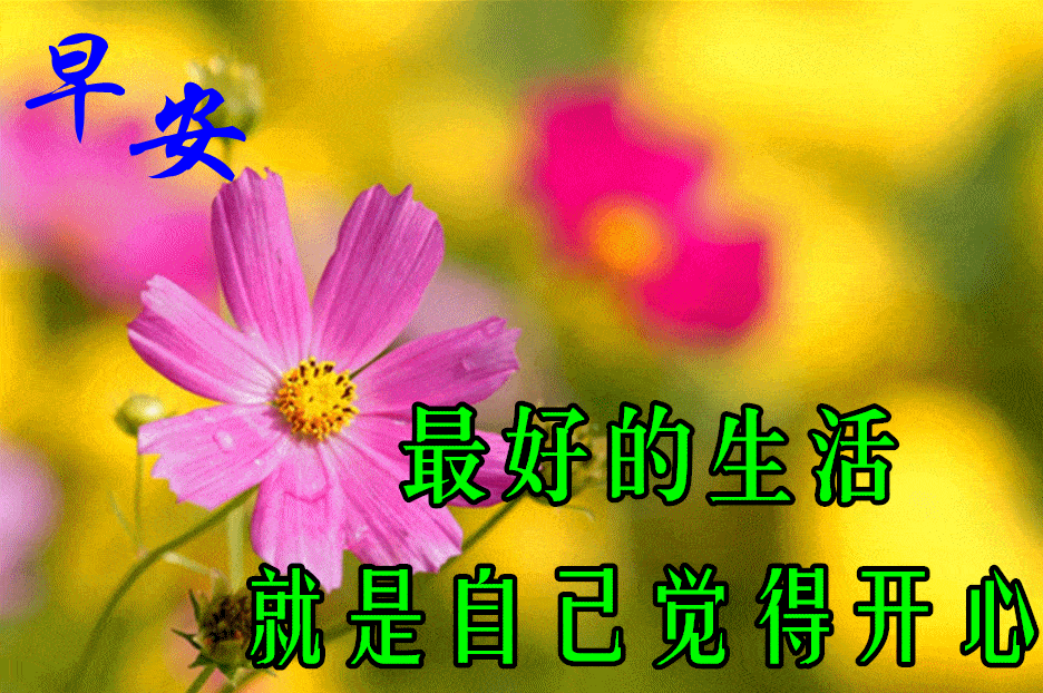 8张免打字漂亮好看的早上好鲜花带字,2021早晨好幸福暖心的问候图片