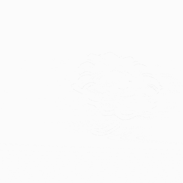 620_620