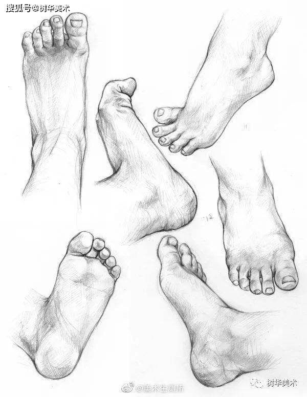 集训期间的美术生到底要画多少张画?_素描