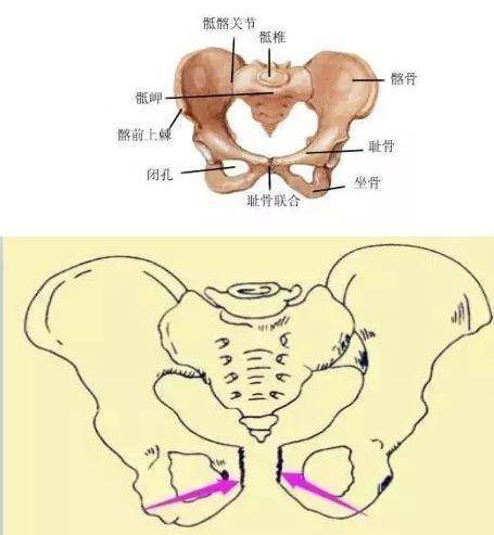 二胎宝妈耻骨疼痛厉害究竟是什么原因引起的耻骨疼痛呢