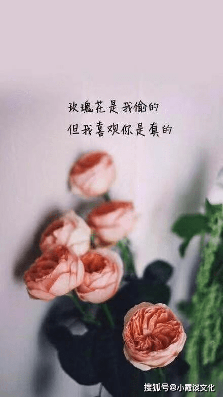 深入人心的情感句子,句句经典,发朋友圈赞到手软