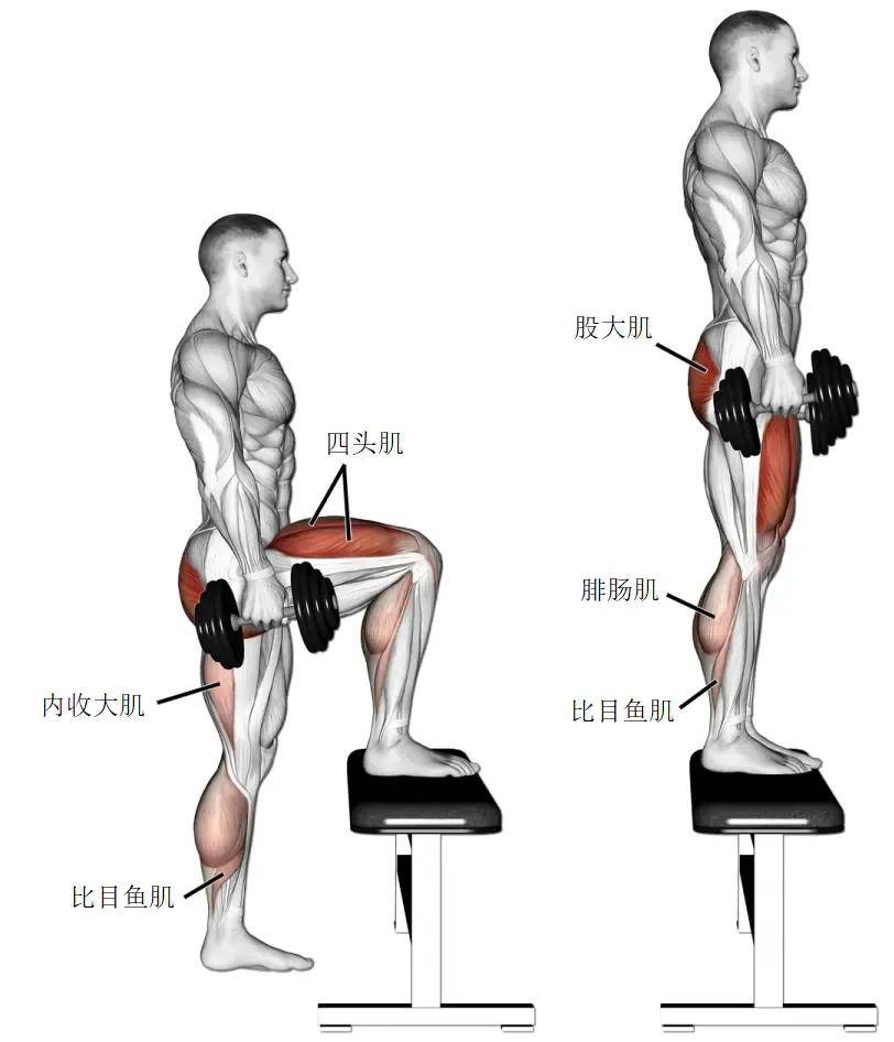 webp03器械倒蹬机训练-incline leg press坐姿器械举腿-leg extension